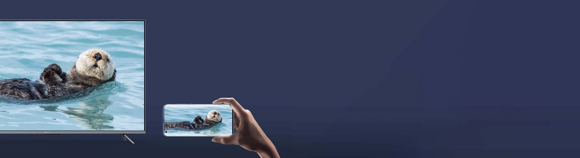 Tajemnica QLED - Xiaomi TV Q1E 55